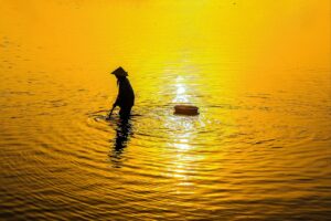 IT転職はこれからのトレンドで成功するためのポイントは？